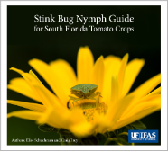 Stinkbug Nymph Guide for South Florida Tomato Crops title page image